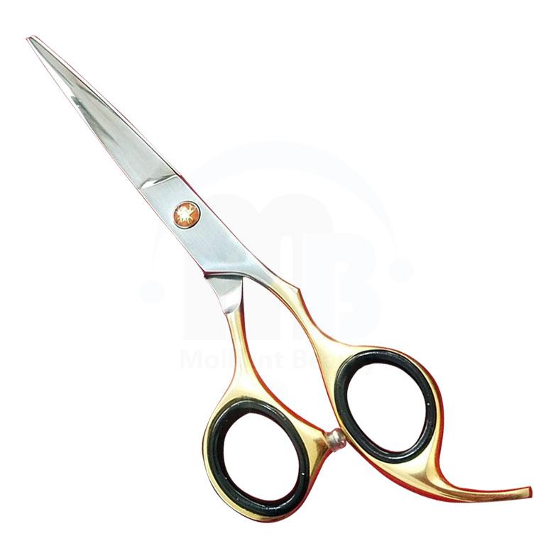 Barber Scissors  TITANIUM COATING  